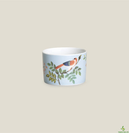 Hythe porcelain cup and saucer set of two