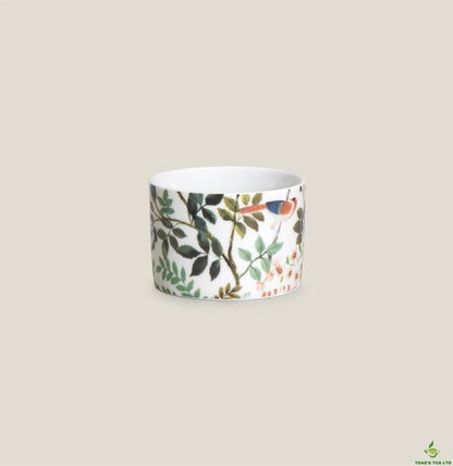 Hythe porcelain cup and saucer set of two