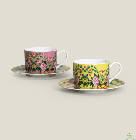 Pashley porcelain cup and saucer set of two